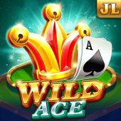 18jl casino Wild Ace